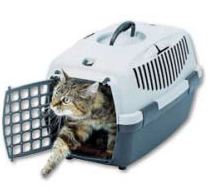 Cat Carriers and Travel